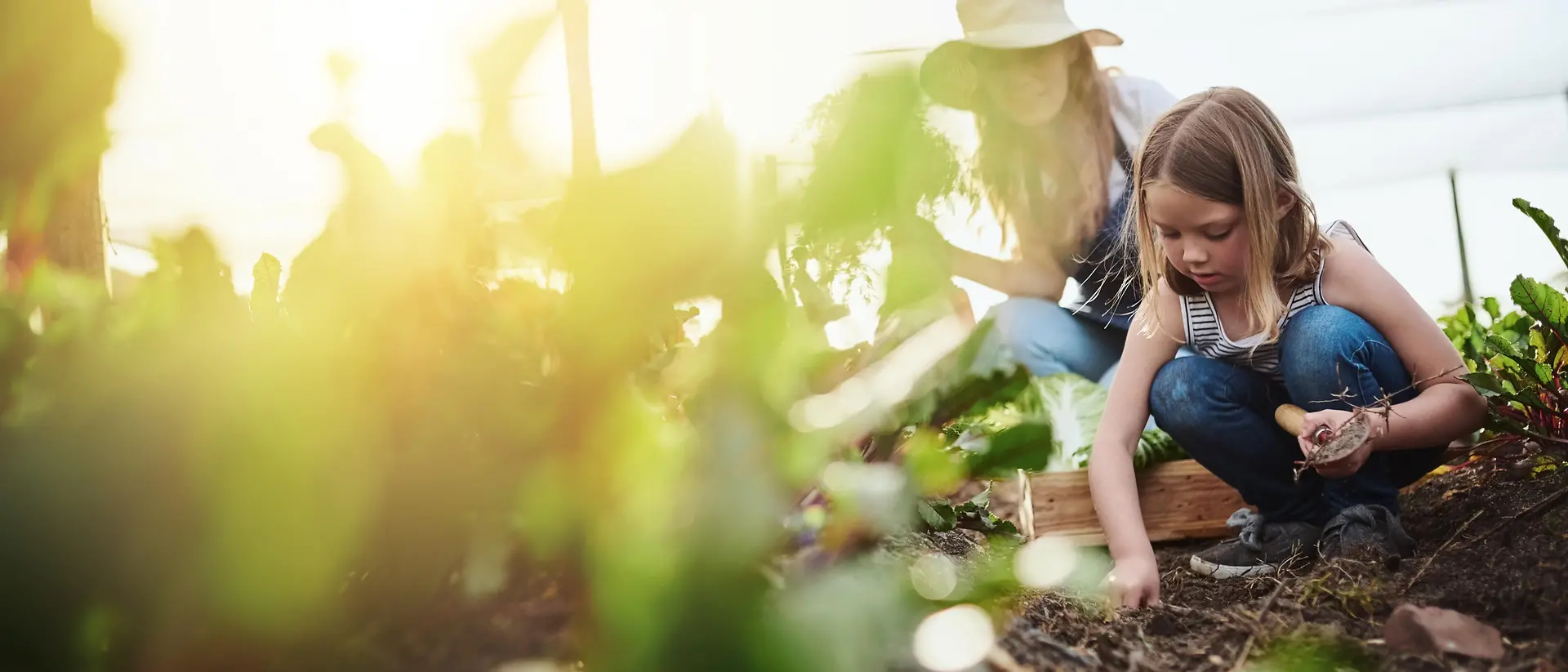 Mère et fille dans le jardin et récoltant des légumes