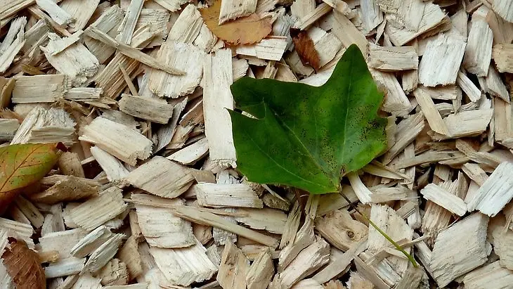 Transformer des déchets végétaux en composants pour les adhésifs, une initiative du projet GreenSolRes dont Henkel est un partenaire.